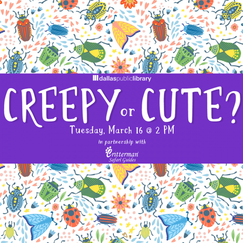 Creepy or Cute graphic