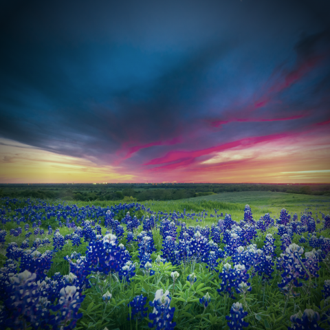 An inviting view of a prairie at sunset