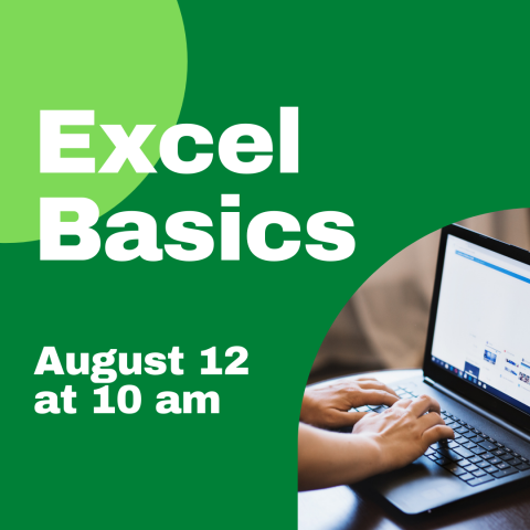 Excel Basics