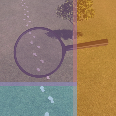 A magnifying glass and some footprints, overlaid with the library colors.