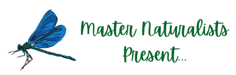 Master Naturalists Present series graphic