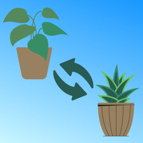 Two plants and a swap icon