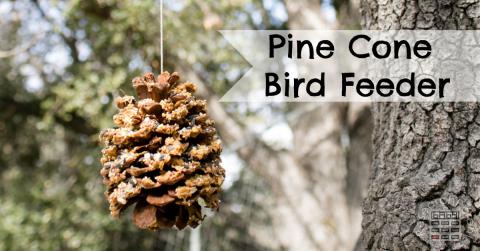 Pinecone Birdfeeder