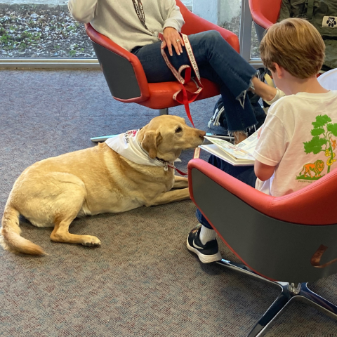 A child reading a book to an attentive dog.