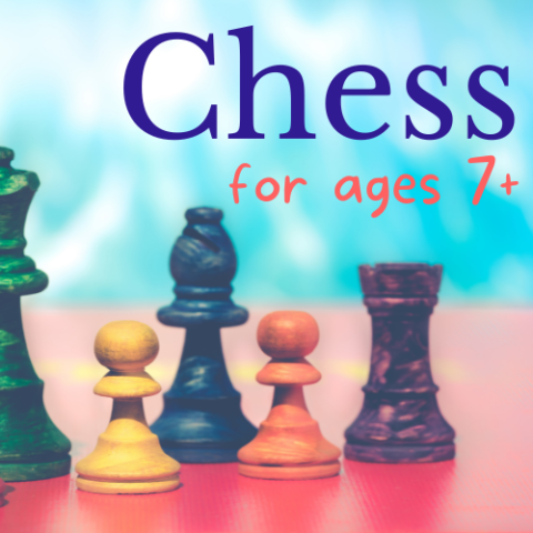Chess cover image