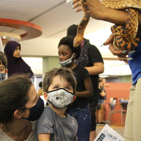 Child in mask looking at a snake