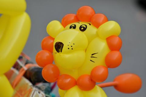 image of a balloon animal lion