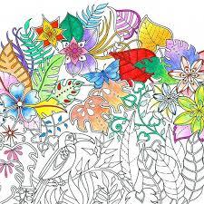 Adult Coloring