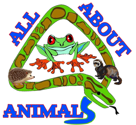 all about animals logo