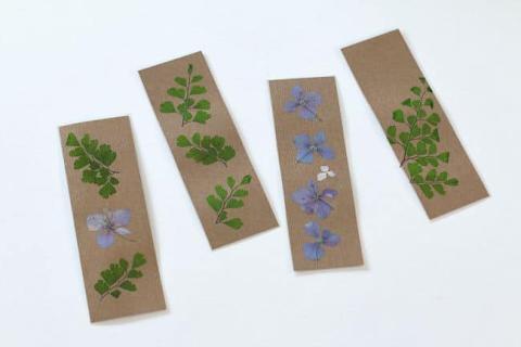 pressed bookmark 