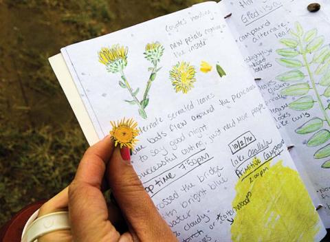 nature journal