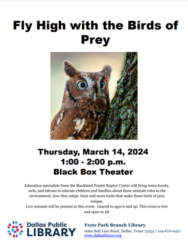 birds of prey flier