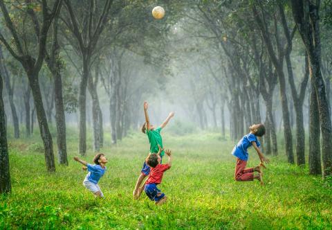 A group of kids jumping and playing in a sunlight green space between two rows of trees.