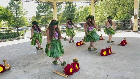 Hula Dancers