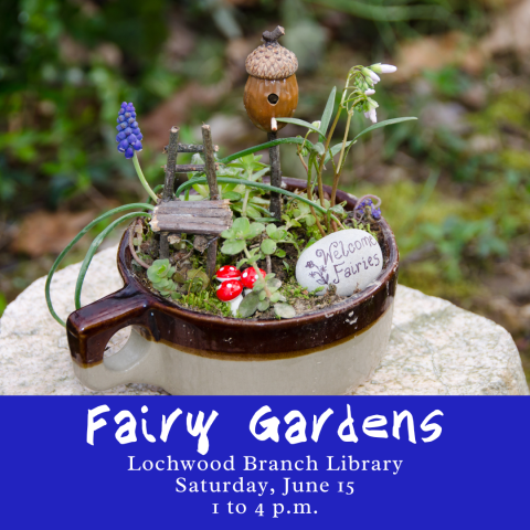 Fairy Gardens Cover Graphic