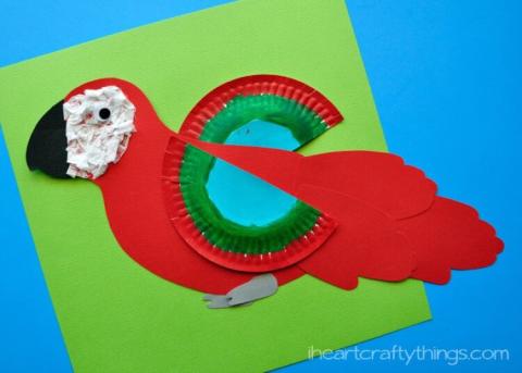 Macaw Parrot Craft