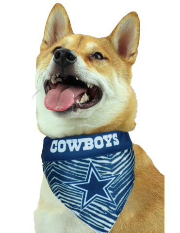 Dog with Cowboys Bandana