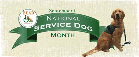 national service dog month