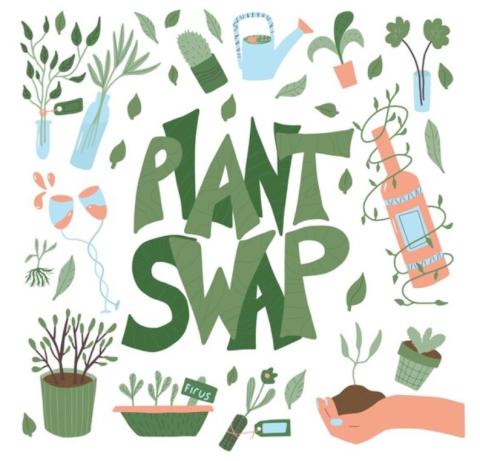 plant swap