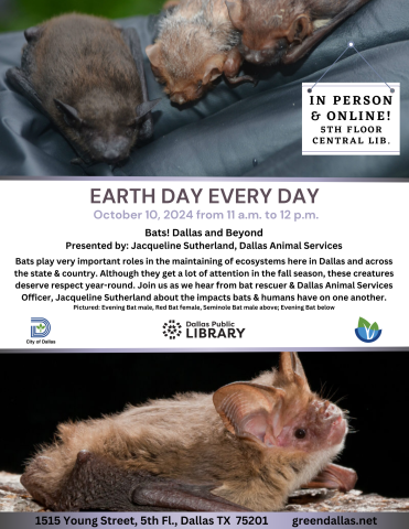 Earth Day Every Day Bats! Dallas and Beyond