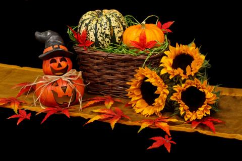 sunflowers and jack-o-lanterns sit next to a basket of gourds