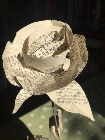 newpaper rose