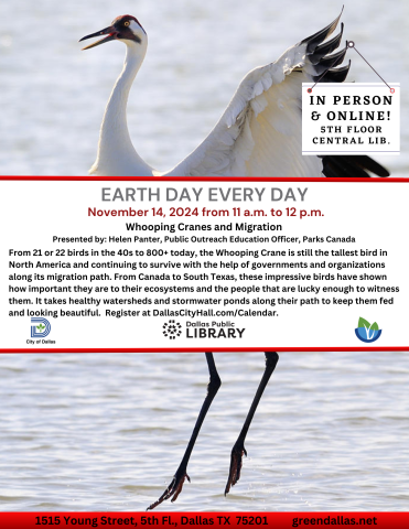 Flyer with a whooping crane in the background