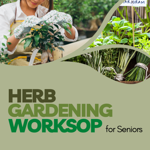 Herb Gardening Workshop for Seniors