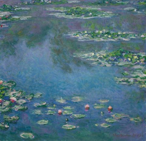 water lilies