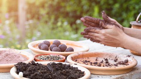 seed bombs