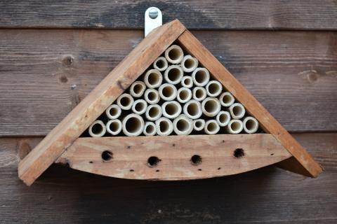 Photo of a triangular bee house filled with cylindrical tubes