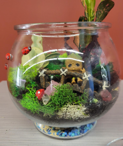 Terrarium