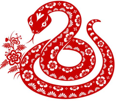 Lunar New Year Snake Design