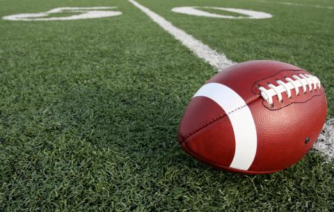 football on grass field sitting on the 20-yard line