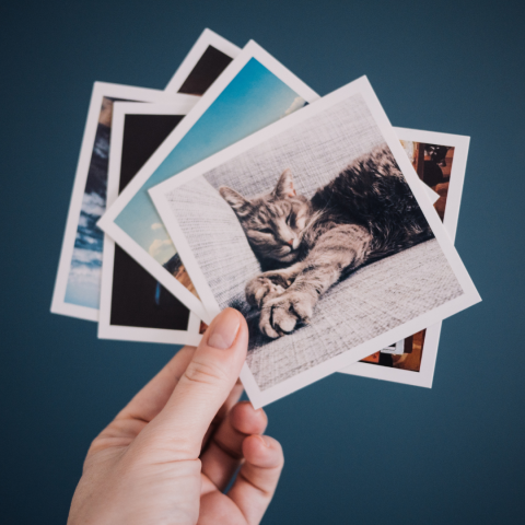 A white person's hand holding several photos