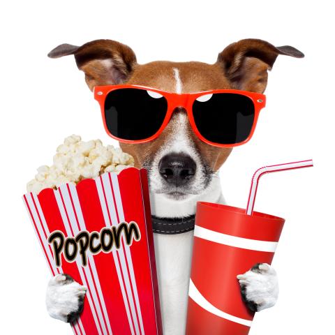 Lights, camera, action! Join us for Movie Day at the library enjoy a fun film with friends! It's the perfect way to unwind and catch a great movie!