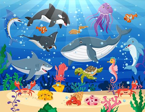 Get ready for a fin-tastic adventure at the library! Dive into the exciting world of sharks with fun facts, cool activities, and jaw-dropping discoveries. Whether you're a shark expert or just curious, this program will leave you hooked on these awesome ocean creatures!