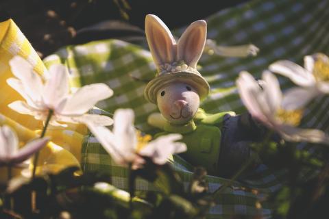 a toy bunny sits on a green gingham cloth amongst pink spring flowers