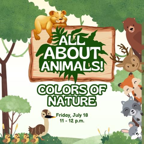 All About Animals