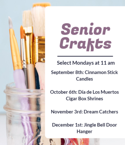 flyer for Senior Crafts