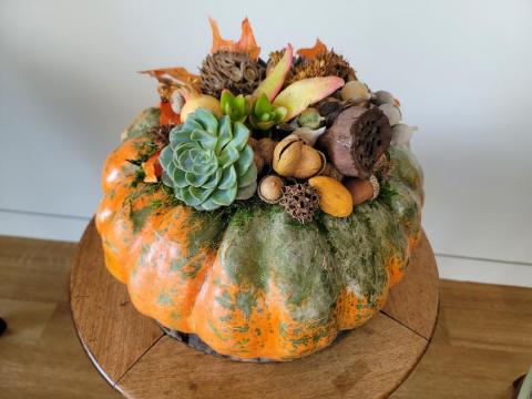 Pumpkin Craft
