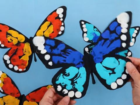 Butterfly Mirror Magic
