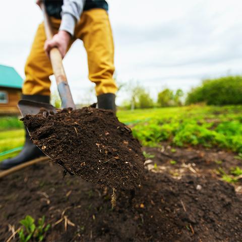Picture of a person prepping the soil bed. 