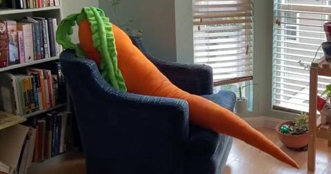 Picture of Overgrown Carrot Pillow Example
