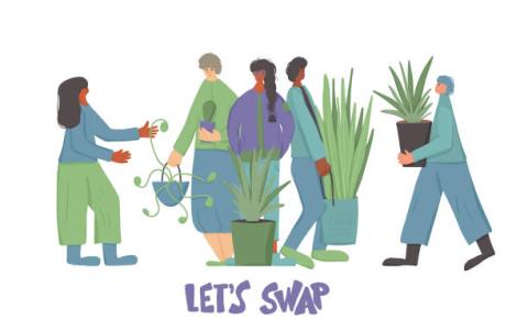 people swapping plants