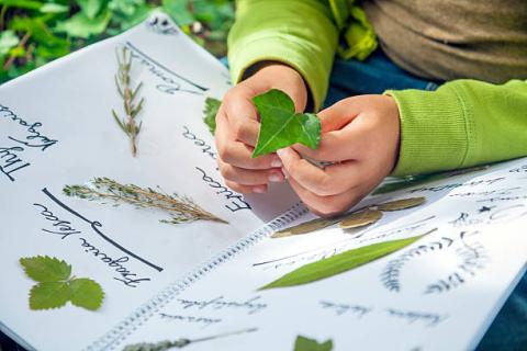 kid journaling plant leaves and names