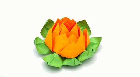 origami lotus flower