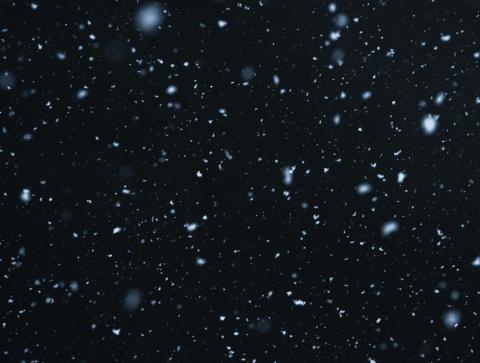 snowflakes on a black background