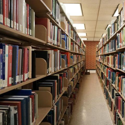 Library bookshelves with library books