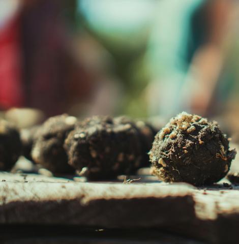 five balls of soil on a wooden table with blurry people in background